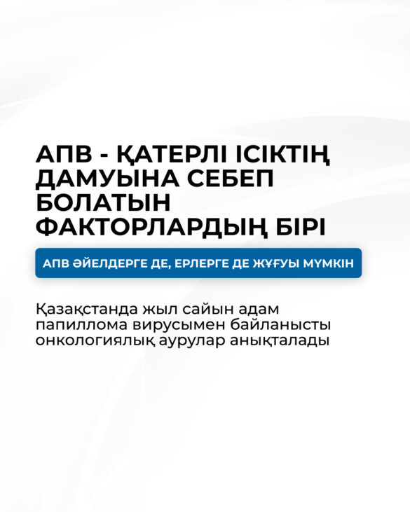 WhatsApp Image 2026-03-05 at 17.56.56 (1)