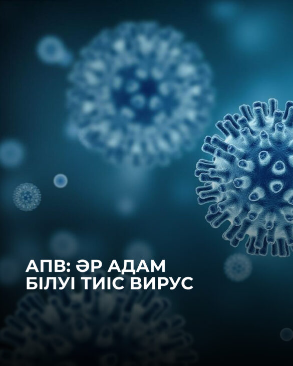 WhatsApp Image 2026-03-05 at 17.56.56